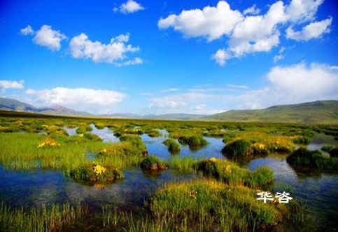 長沙水土保持？湖南省水土保持編制專業(yè)公司_10年專注水土保持報告的編制。