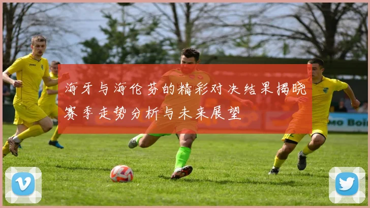 海牙与海伦芬的精彩对决结果揭晓赛季走势分析与未来展望