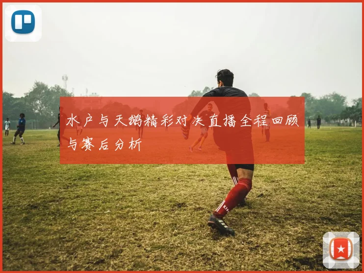 水户与天鹅精彩对决直播全程回顾与赛后分析